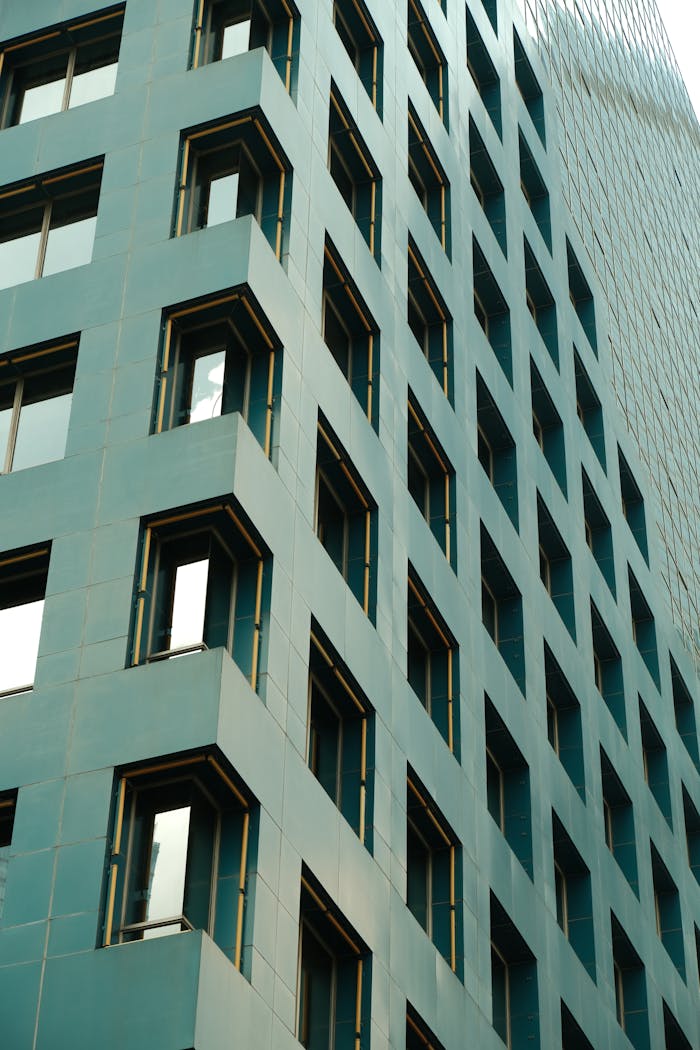 gallery-4 pexels-photo-34562490.jpeg